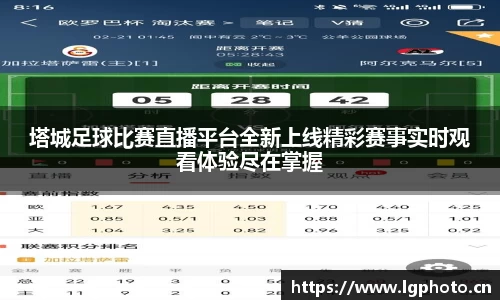 mksport体育app官网入口