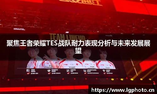 聚焦王者荣耀TES战队耐力表现分析与未来发展展望