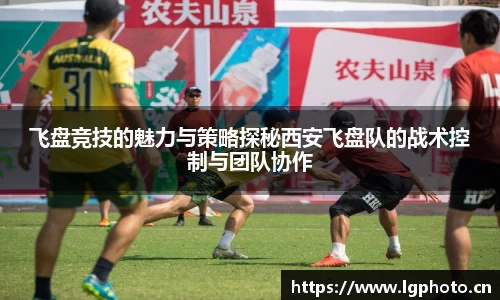 MK体育