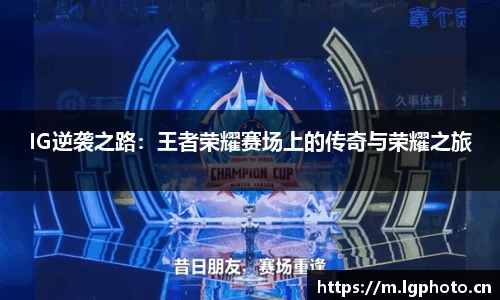 mksport体育