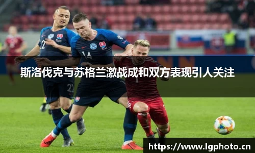 mksport体育app官网入口