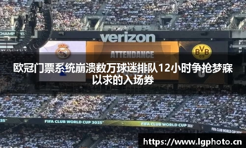 mksport体育app官网入口