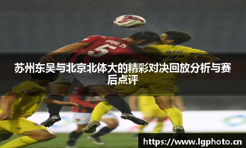 MK体育