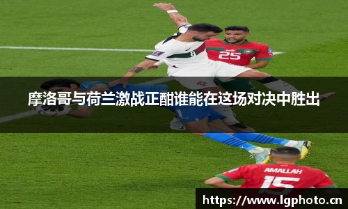 mksport体育app官网入口